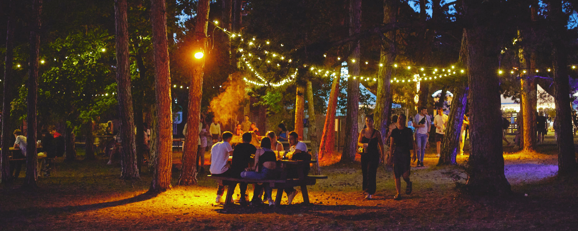 VYV Festival